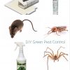 DIY Home Pest Control