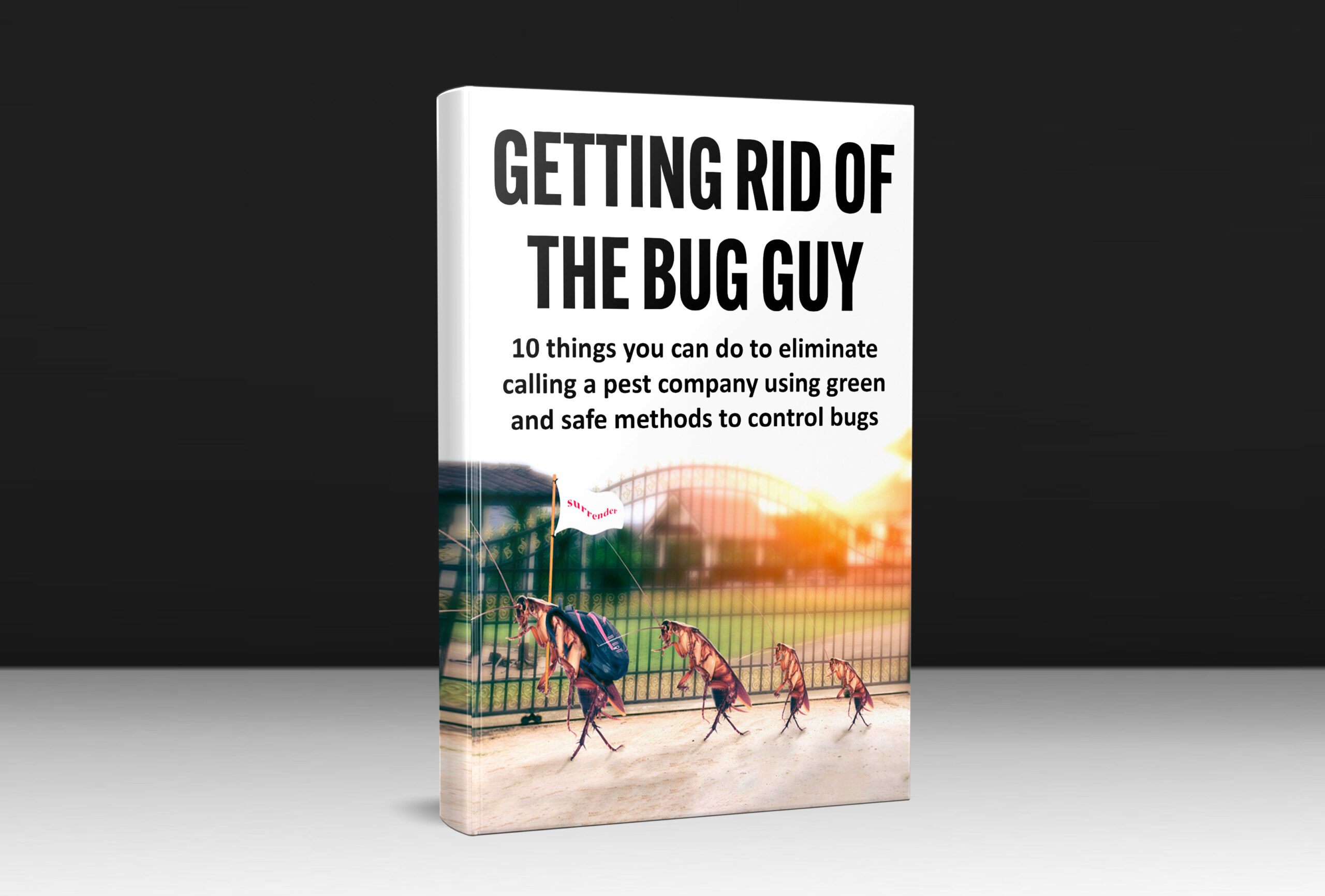 Getting rid of the Bug Guy